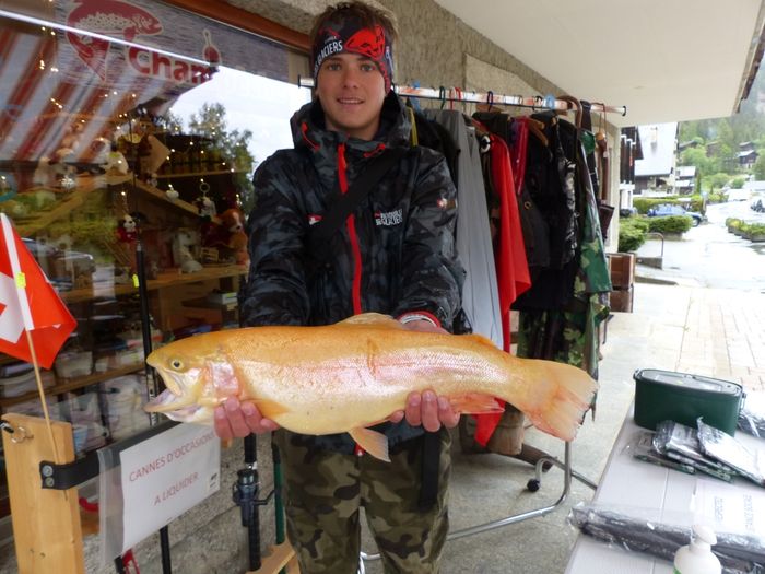 Encore un heureux pêcheur Lucas Bloyet 15 ans avec sa truite Aguabonita de 59cm et 2 Kgr520 avec une canne Green Hornet 270cm de chez Champêche et une cuiller Mozzi N°2. Bravo à ce jeune pour son super poisson.